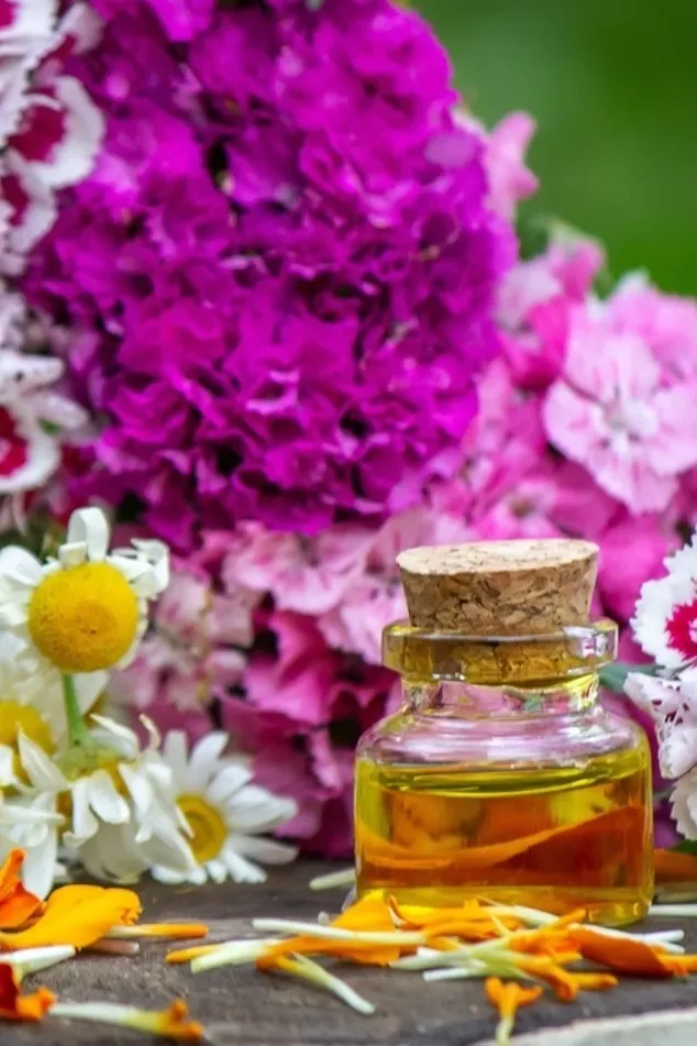 aceites